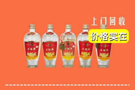 诚信求购:兴业县高价回收老五粮液